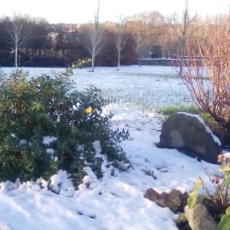 Ashford Haven B&B Cong Eksteriør billede