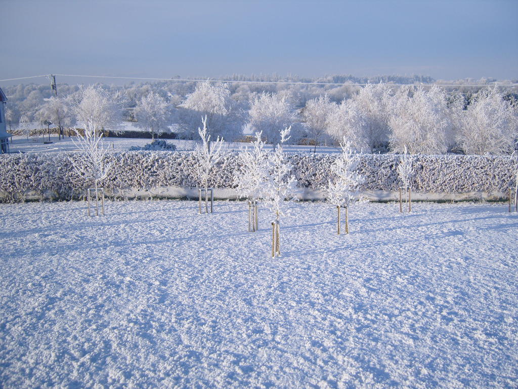 Ashford Haven B&B Cong Eksteriør billede