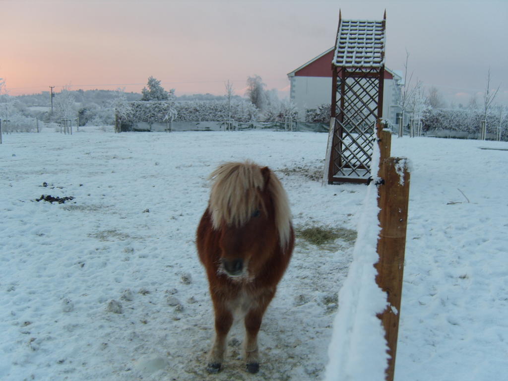 Ashford Haven B&B Cong Eksteriør billede