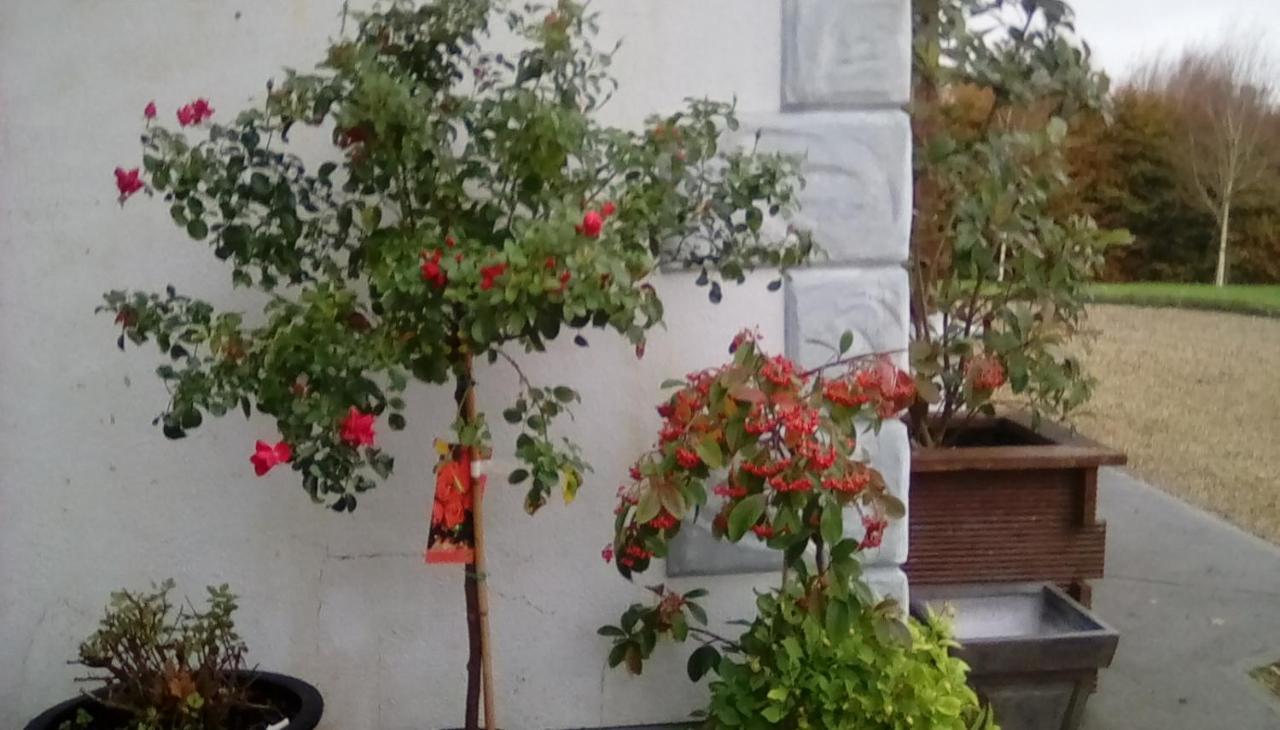 Ashford Haven B&B Cong Eksteriør billede
