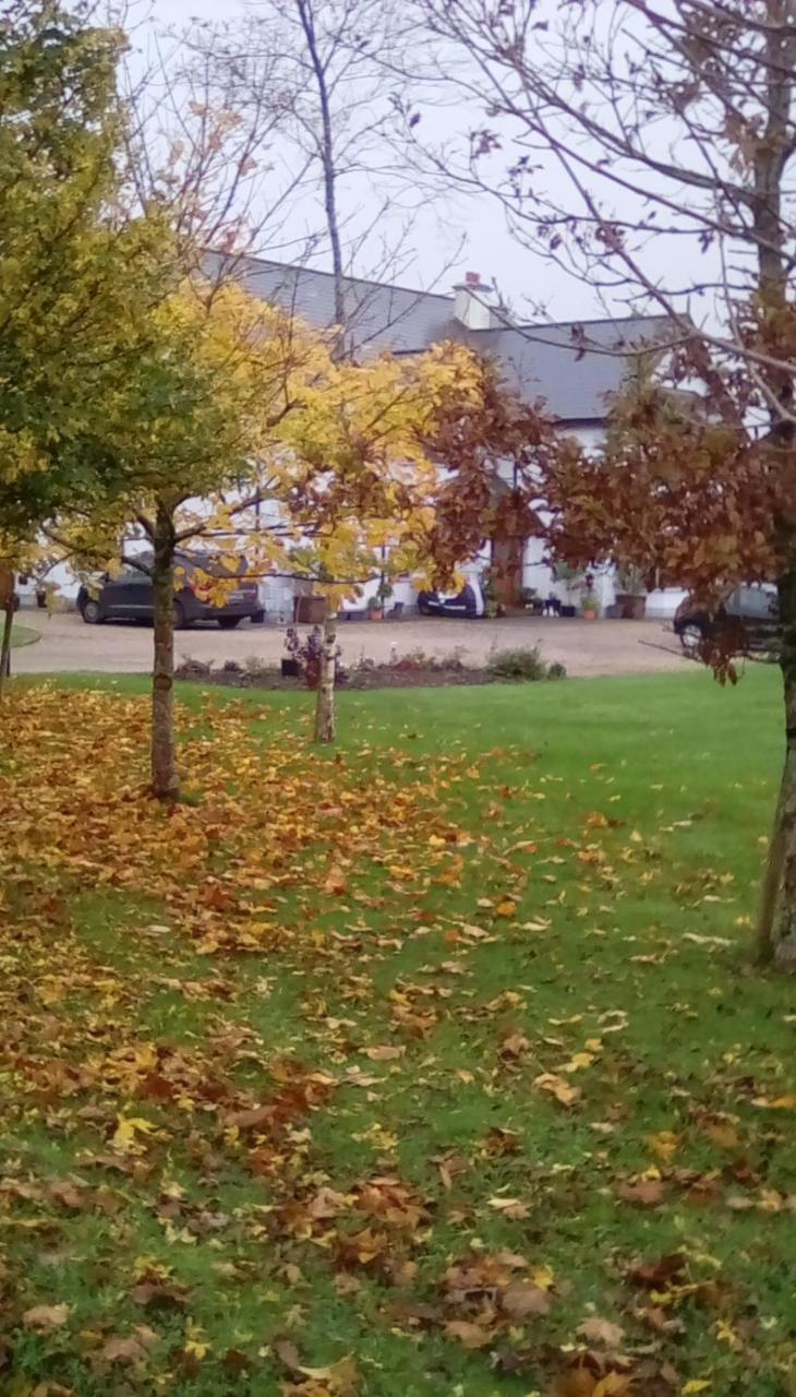Ashford Haven B&B Cong Eksteriør billede